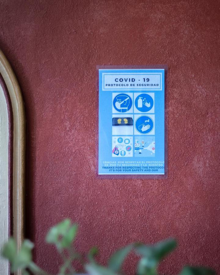 Casa Del Sotano Hotel Oaxaca Exterior photo